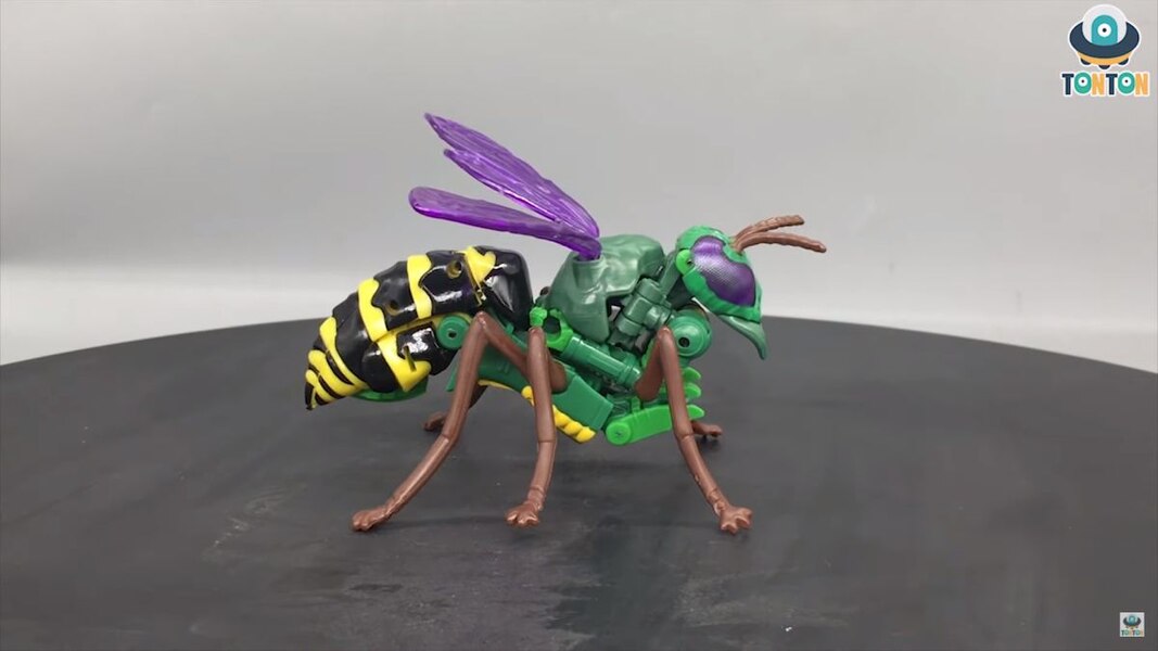 Transformers Kingdom Deluxe Class Waspinator  (34 of 38)